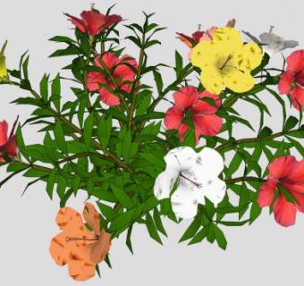 多颜色芙蓉开花植物SU模型下载_sketchup草图大师SKP模型