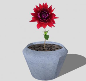 花盆中的红花SU模型下载_sketchup草图大师SKP模型