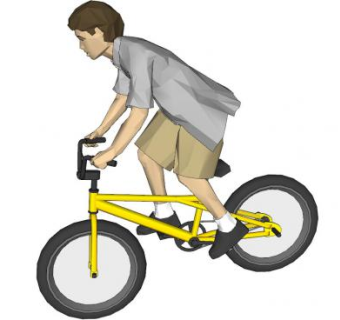 骑单车的少年SU模型下载_sketchup草图大师SKP模型