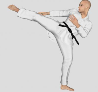 黑带跆拳道踢腿男士SU模型下载_sketchup草图大师SKP模型