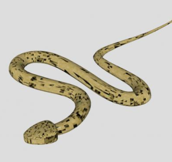 爬行的蛇SU模型下载_sketchup草图大师SKP模型