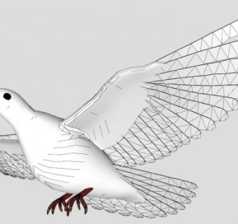 白色鸽子鸟SU模型下载_sketchup草图大师SKP模型