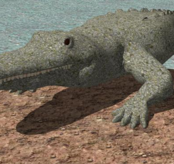 鳄鱼两栖动物SU模型下载_sketchup草图大师SKP模型