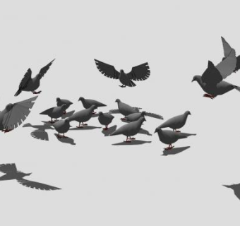 鸽子鸟群SU模型下载_sketchup草图大师SKP模型