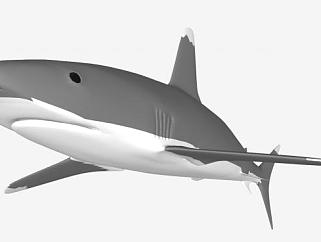 大白鲨<em>鲨鱼</em>SU模型下载_sketchup草图大师SKP模型