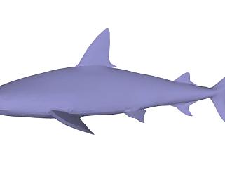 软骨鱼鲨鱼动物SU模型下载_sketchup草图大师SKP模型