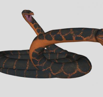 蟒属大型爬行动物蟒蛇SU模型下载_sketchup草图大师SKP模型