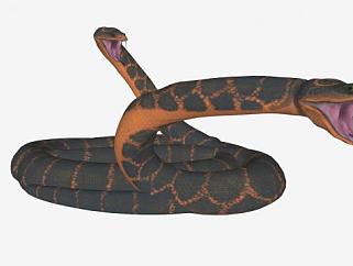 蟒属大型爬行动物蟒蛇SU模型下载_sketchup草图大师SKP模型
