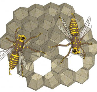 蜂巢蜜蜂SU模型下载_sketchup草图大师SKP模型