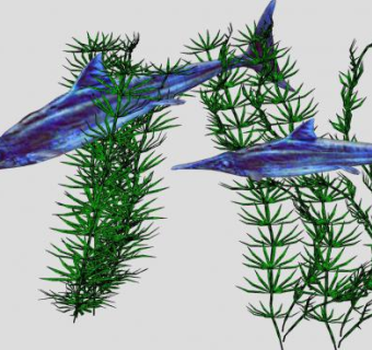 海草和海鱼SU模型下载_sketchup草图大师SKP模型