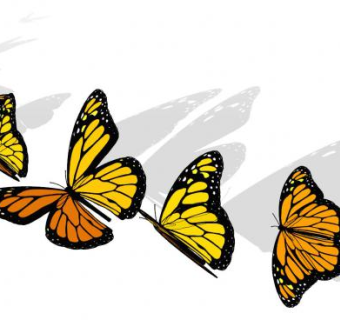 蝴蝶飞SU模型下载_sketchup草图大师SKP模型