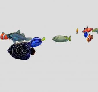 多种金鱼观赏鱼SU模型下载_sketchup草图大师SKP模型