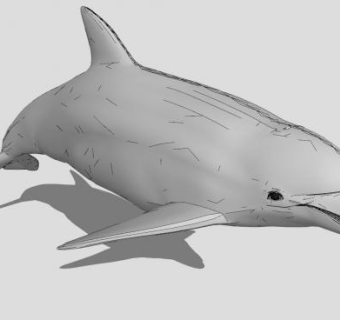 小海豚动物SU模型下载_sketchup草图大师SKP模型