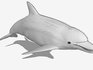小海豚动物SU模型下载_sketchup草图大师SKP模型