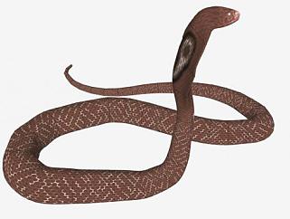 眼镜<em>蛇</em>动物SU模型下载_sketchup草图大师SKP模型