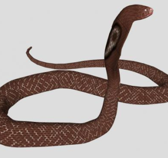 眼镜蛇动物SU模型下载_sketchup草图大师SKP模型