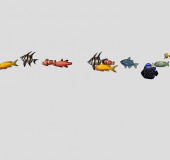 观赏鱼鱼类大全SU模型下载_sketchup草图大师SKP模型