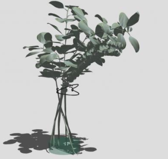 装饰玻璃花瓶SU模型下载_sketchup草图大师SKP模型