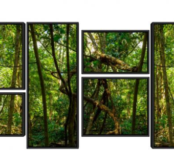 树的照片墙SU模型下载_sketchup草图大师SKP模型