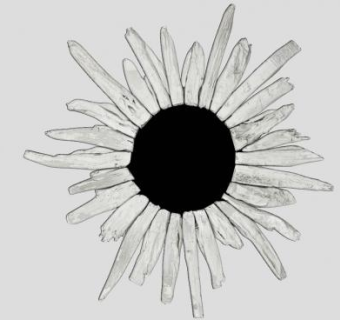 装饰钟墙钟挂钟SU模型下载_sketchup草图大师SKP模型