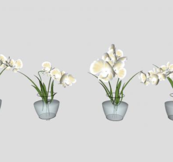 玻璃花瓶花卉SU模型下载_sketchup草图大师SKP模型