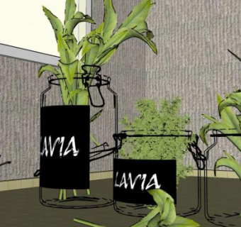 樱桃和玻璃植物装饰品SU模型下载_sketchup草图大师SKP模型
