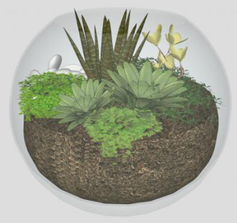 圆形玻璃花盆花瓶SU模型下载_sketchup草图大师SKP模型