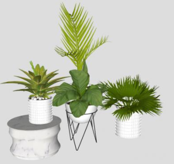 花盆摆件陈设品SU模型下载_sketchup草图大师SKP模型