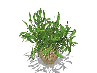 室内花瓶植物SU模型下载_sketchup草图大师SKP模型