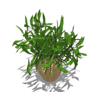 室内花瓶植物SU模型下载_sketchup草图大师SKP模型