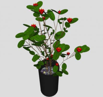 景观植物花盆SU模型下载_sketchup草图大师SKP模型