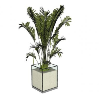 室内盆景SU模型下载_sketchup草图大师SKP模型