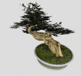 迎客松盆栽盆景SU模型下载_sketchup草图大师SKP模型