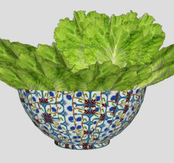 一盆生菜蔬菜SU模型下载_sketchup草图大师SKP模型