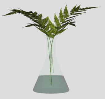 精美的玻璃花瓶植物SU模型下载_sketchup草图大师SKP模型