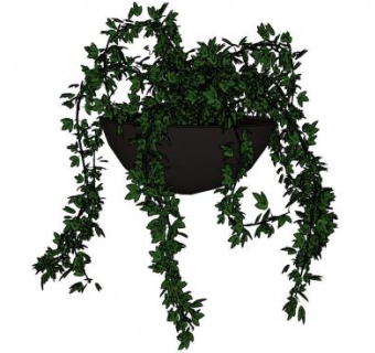 吊篮藤蔓植物SU模型下载_sketchup草图大师SKP模型