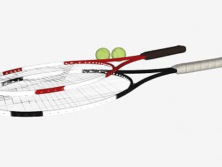 网球和网球拍<em>SU模型</em>下载_sketchup草图大师SKP<em>模型</em>
