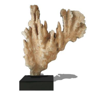 珊瑚工艺品摆件SU模型下载_sketchup草图大师SKP模型