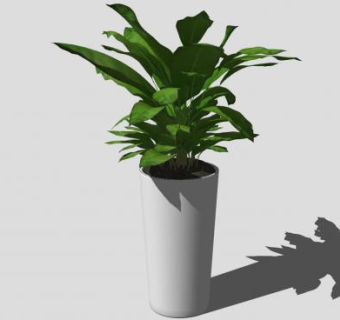 高深的花盆盆景盆栽植物SU模型下载_sketchup草图大师SKP模型