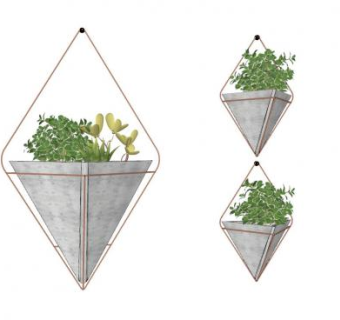 装饰植物吊篮盆栽盆景SU模型下载_sketchup草图大师SKP模型