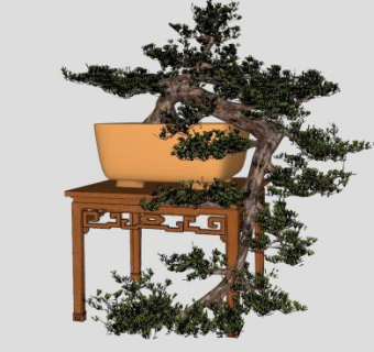 中式盆景迎客松弯弯曲曲树SU模型下载_sketchup草图大师SKP模型