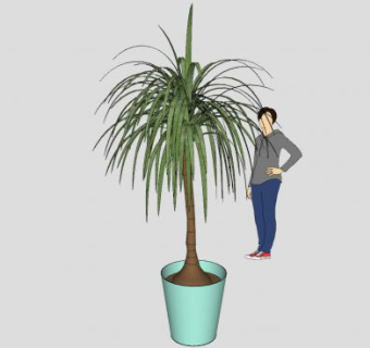 室内盆栽花盆植物盆景SU模型下载_sketchup草图大师SKP模型