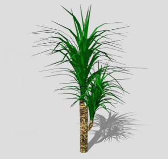 室内装饰植物SU模型下载_sketchup草图大师SKP模型