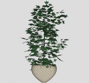 花盆盆景植物SU模型下载_sketchup草图大师SKP模型