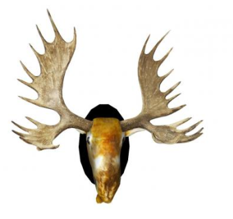 麋鹿头装饰墙饰SU模型下载_sketchup草图大师SKP模型