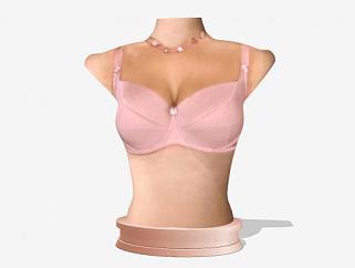 粉色胸罩内衣模特SU模型下载_sketchup草图大师SKP模型
