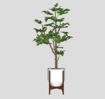 室内花盆植物装饰SU模型下载_sketchup草图大师SKP模型