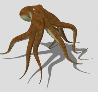 章鱼SU模型下载_sketchup草图大师SKP模型