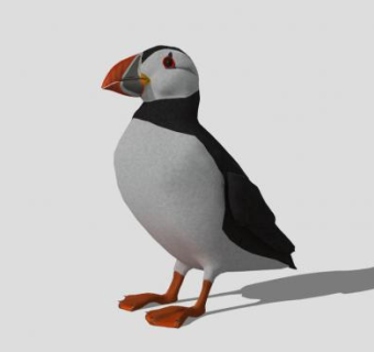 北极海鹦SU模型下载_sketchup草图大师SKP模型