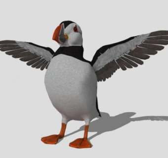 张开翅膀的海鹦动物SU模型下载_sketchup草图大师SKP模型